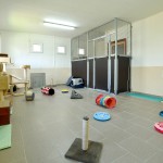 06 Kočičí herna pro vykastrované či mladé a vzájemně se snášející kočičky