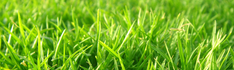 15815-grass-material